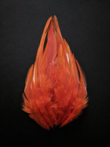 Terracotta Orange - Long Pointed Natural Feathers (100 Pieces) - Craft Store of India