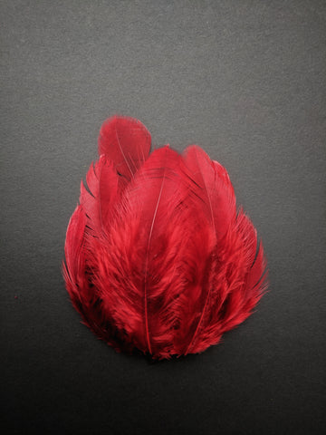 Maroon - Natural Small Feathers (100 Pieces) - Craft Store of India