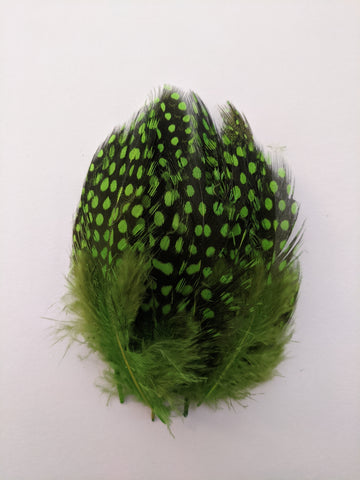 Parrot Green - Dotted Feathers (50 Pieces)