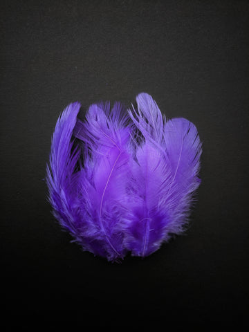 Violet - Natural Small Feathers (100 Pieces) - Craft Store of India