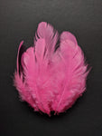 Baby Pink - Natural Small Feathers (100 Pieces) - Craft Store of India