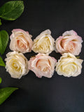 Blooming Roses (Pack of 6)