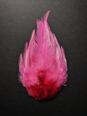 Dual Shaded Feathers