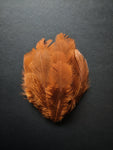 Caramel Brown - Natural Small Feathers (100 Pieces) - Craft Store of India