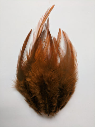 Caramel Brown - Long Pointed Natural Feathers (100 Pieces) - Craft Store of India