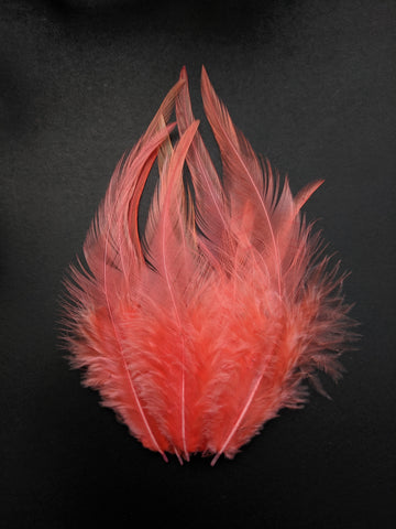 Salmon Pink - Long Pointed Natural Feathers (100 Pieces) - Craft Store of India