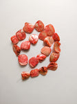 Coral - Shell Beads