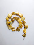 Gold - Shell Beads