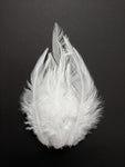 White - Long Pointed Natural Feathers (100 Pieces) - Craft Store of India