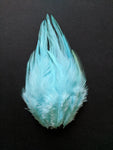 Turquoise - Long Pointed Natural Feathers (100 Pieces) - Craft Store of India