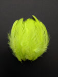 Lime Green - Natural Small Feathers (100 Pieces) - Craft Store of India