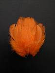 Orange - Natural Small Feathers (100 Pieces) - Craft Store of India