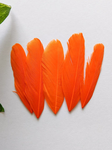 Orange - Goose Feathers