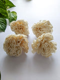 Carnation Flowers (medium) - Pack of 4
