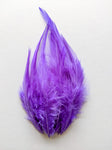Violet - Long Pointed Natural Feathers (100 Pieces)