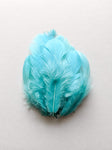 Turquoise Blue - Natural Small Feathers