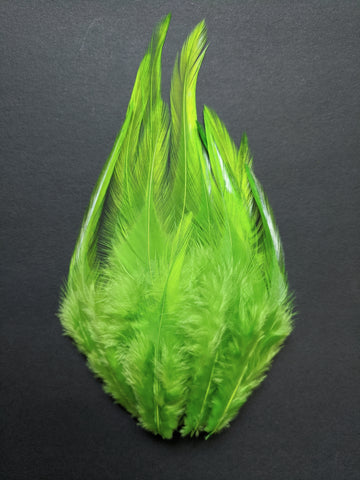 Parrot Green - Long Pointed Natural Feathers