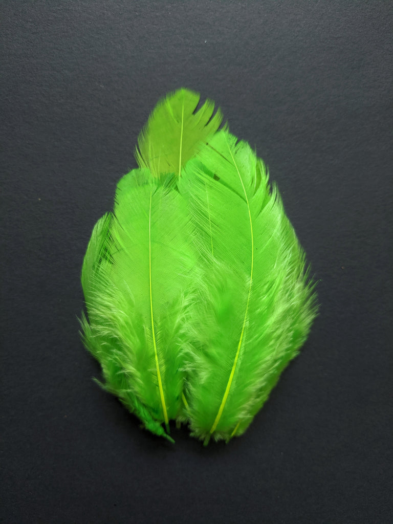 GreenFeathersStore 