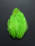 Parrot Green - Natural Small Feathers (100 Pieces)