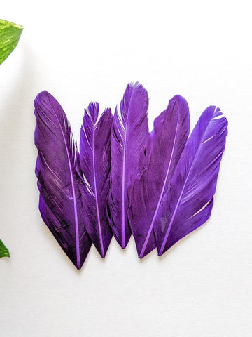 Purple - Goose Feathers