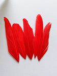 Red - Goose Feathers