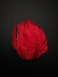 Red - Natural Small Feathers (100 Pieces) - Craft Store of India