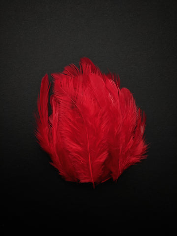 Red - Natural Small Feathers (100 Pieces) - Craft Store of India