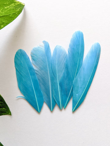 Sky Blue - Goose Feathers