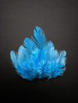 Sky Blue - Natural Small Feathers (100 Pieces)