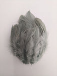 Steel Grey - Natural Small Feathers (100 Pieces) - Craft Store of India