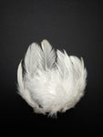 White - Natural Small Feathers (100 Pieces) - Craft Store of India