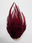 Wine - Long Pointed Natural Feathers (100 Pieces)