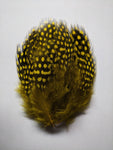 Yellow - Dotted Feathers (50 Pieces)