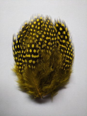 Dotted Feathers