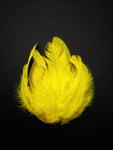 Yellow - Natural Small Feathers (100 Pieces) - Craft Store of India